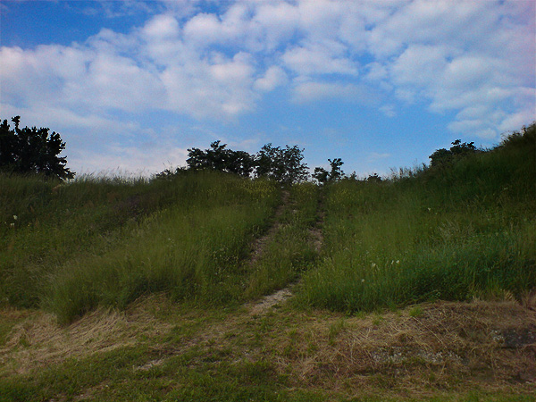 018-07-2010 018-07-2010