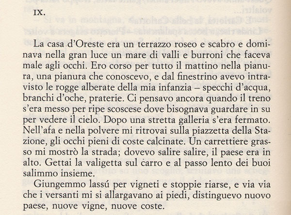 023-07-2010pavese