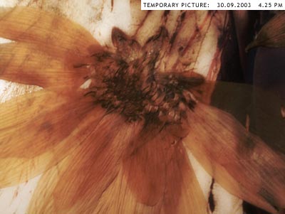 TEMPORARY: 04.09.2003